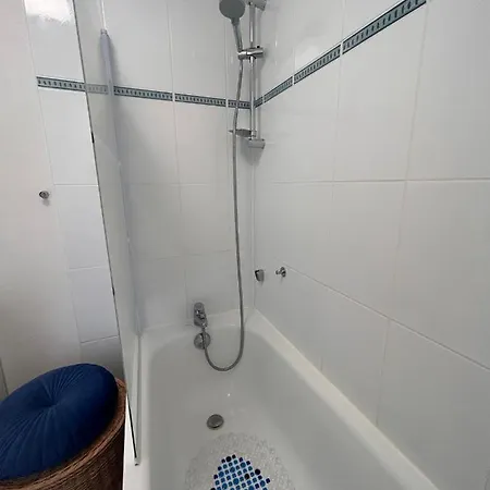 Les Cygnes De Apartment