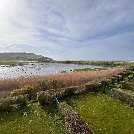 Apartment Les Cygnes De