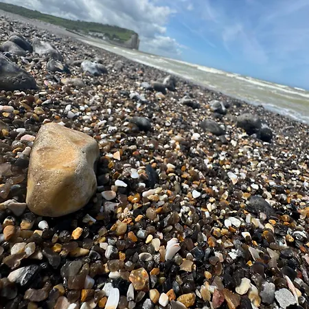 Apartment Les Cygnes De