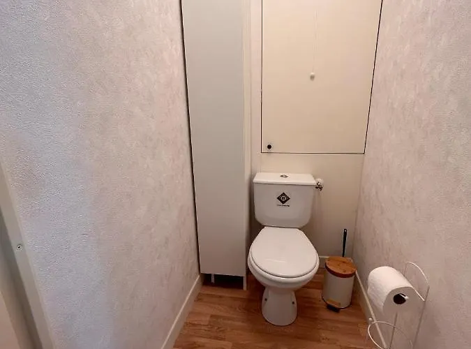 Les Cygnes De * Criel-sur-Mer