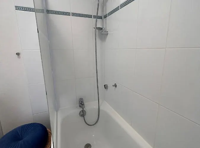 Les Cygnes De Apartamento