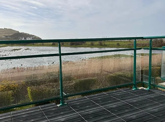 Les Cygnes De * Criel-sur-Mer