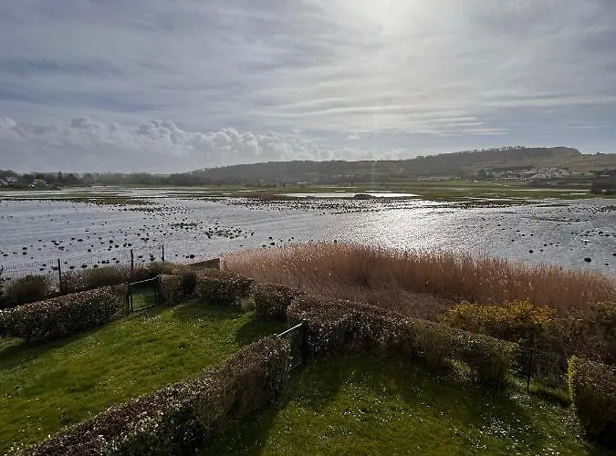 Les Cygnes De Apartamento