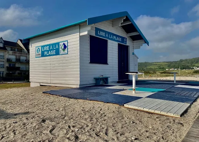 Les Cygnes De Criel-sur-Mer