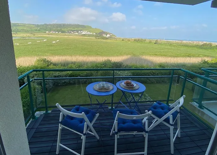 Les Cygnes De Criel-sur-Mer