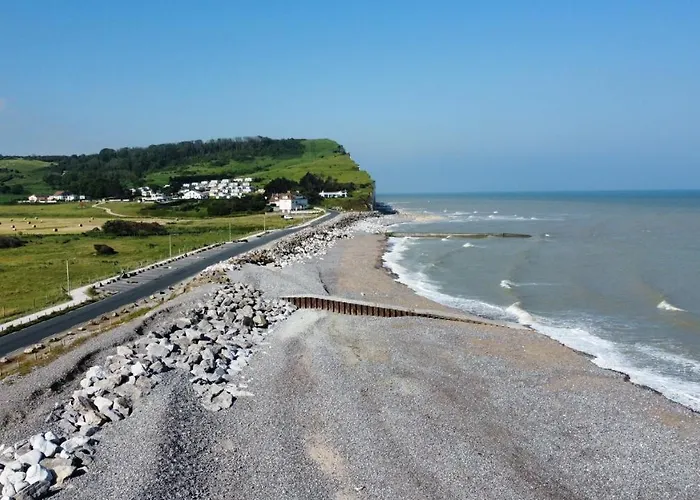 Les Cygnes De Apartamento *