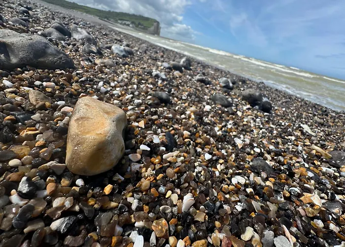 Apartamento Les Cygnes De